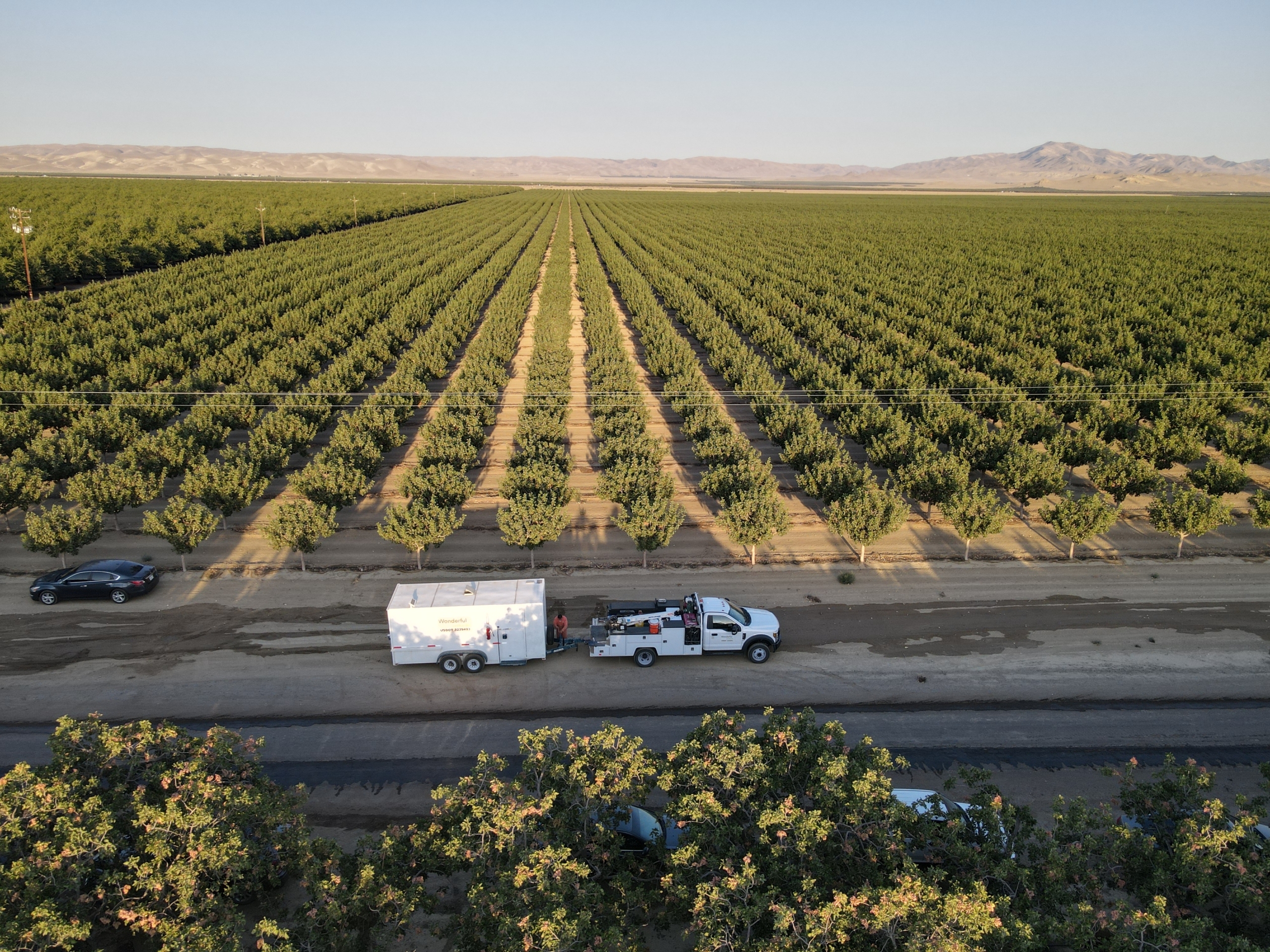 Orchard’s Summer Harvest Helper – Week 1