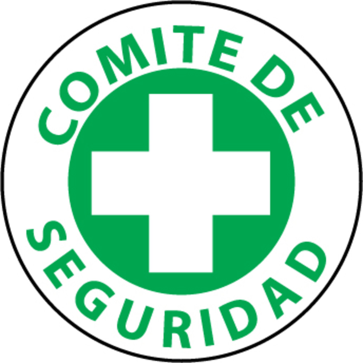 Formación del comité de seguridad